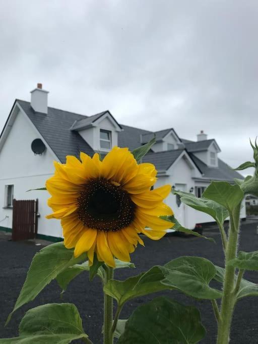 Curlews Rest - Gateway To The Aran Islands Apartment Голуей Екстериор снимка