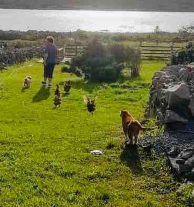Curlews Rest - Gateway To The Aran Islands Apartment Голуей Екстериор снимка